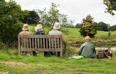 Stacks Image 67