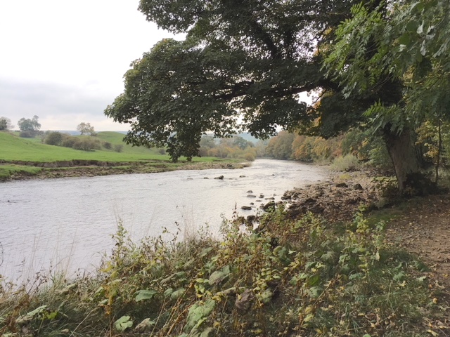 River Ure