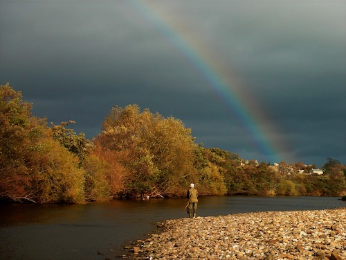 Fishing the River Ure