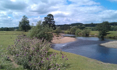 The River Ure