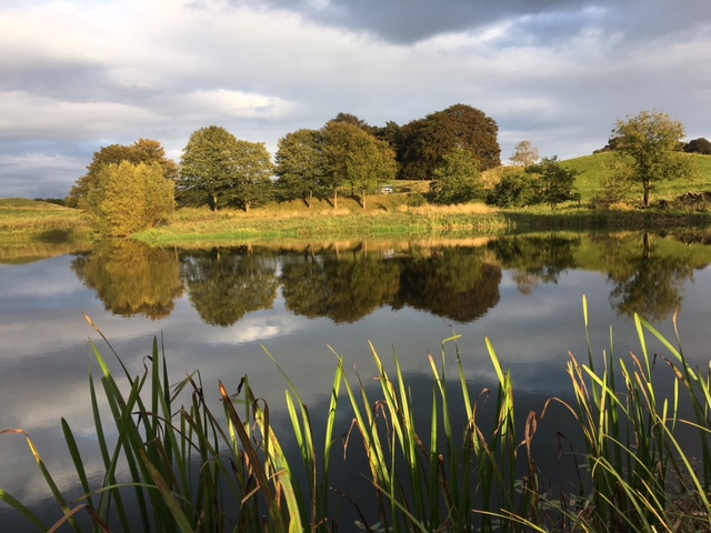 Jervaulx Lake