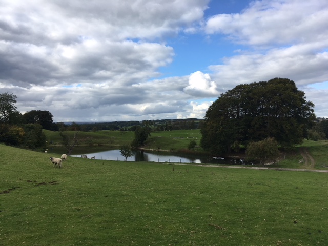 View of Lake at Jervaulx