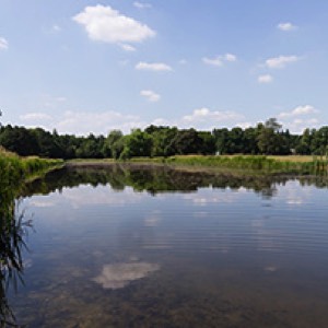Stacks Image 18
